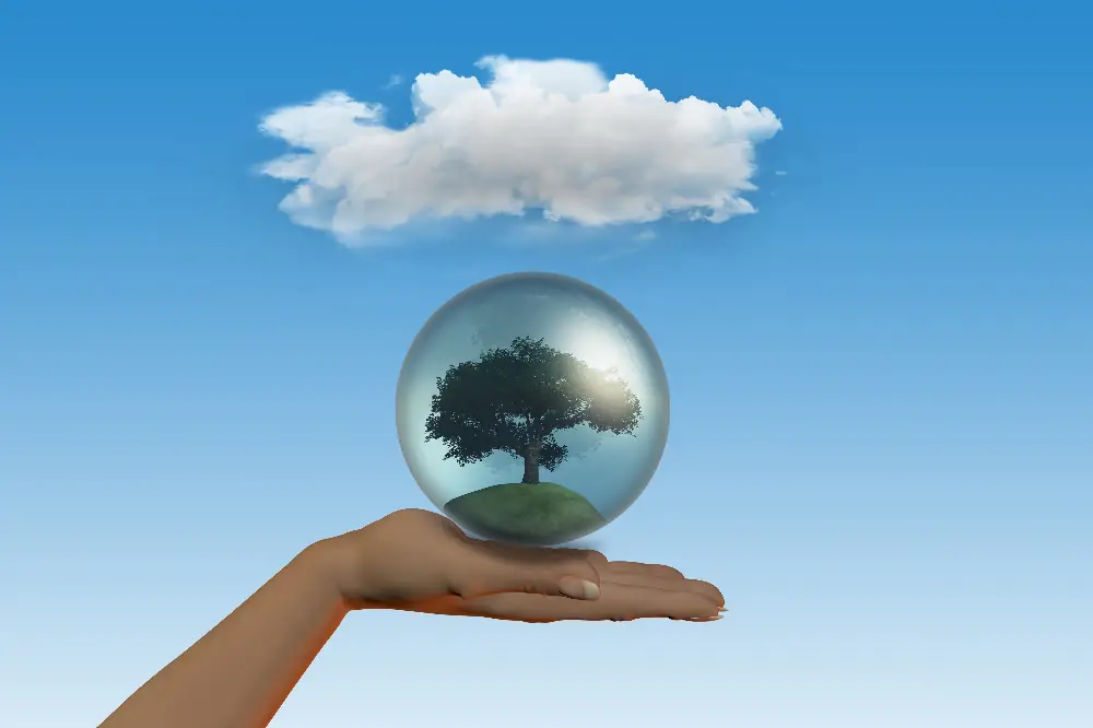 Sustainability in Giving: From Relief to Development